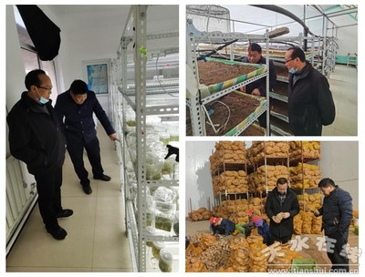 國(guó)家馬鈴薯產(chǎn)業(yè)技術(shù)體系天水綜合試驗(yàn)站開(kāi)展對(duì)接服務(wù)企業(yè)活動(dòng)(圖)