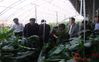 朔州科協(xié)請(qǐng)來(lái)專(zhuān)家現(xiàn)場(chǎng)指導(dǎo)科技服務(wù)(圖)_市直動(dòng)態(tài)_朔州頻道_山西新聞網(wǎng) - 主流媒體 山西門(mén)戶(hù)