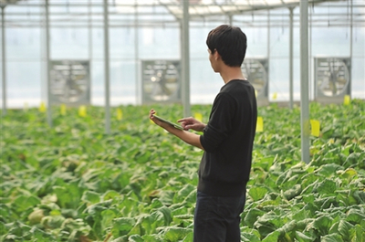 振興鄉村 國家發改委點贊貴州農業云、廣東農村超高速無線局域網