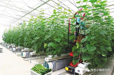 【新業態】休閑農業、互聯網+農業、智慧農業&hellip;