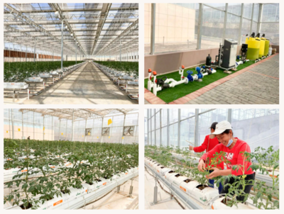 廣州市智慧農業服務股份 &middot; 2022 年度十大回顧