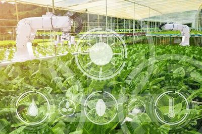 農(nóng)業(yè)科技社會(huì)化服務(wù)體系建設(shè)如何加強(qiáng)?七部門發(fā)文部署