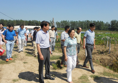 信陽(yáng)農(nóng)林學(xué)院開(kāi)展&ldquo;送科技下鄉(xiāng)&rdquo;活動(dòng)