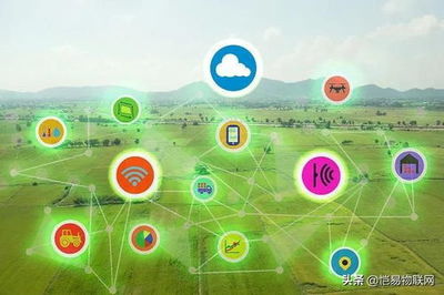 智慧鄉(xiāng)村對(duì)農(nóng)業(yè)現(xiàn)代化進(jìn)程的推動(dòng),智慧鄉(xiāng)村:引領(lǐng)農(nóng)業(yè)現(xiàn)代化新時(shí)代。