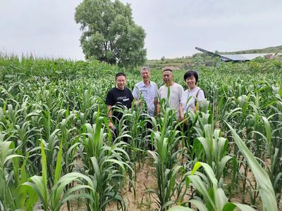 經(jīng)作所三區(qū)特派團(tuán)在渾源縣召開對接會并開展技術(shù)服務(wù)