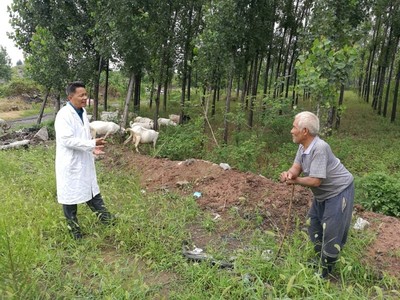 平頂山石龍區強化科技服務 助推農業增效農民增收