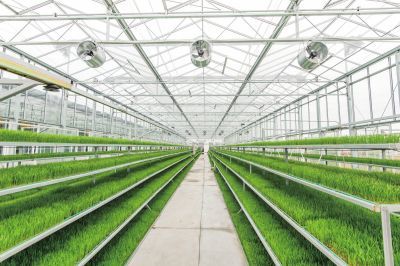 江蘇:&ldquo;雙新雙創(chuàng)&rdquo;為鄉(xiāng)村振興凝聚強(qiáng)勁動(dòng)能