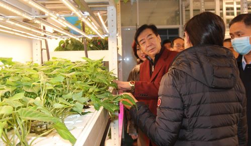 政府 旅游 慈善多位行業(yè)領(lǐng)導(dǎo)蒞臨上蔬源參觀考察