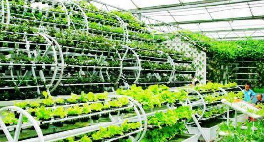 生態(tài)農(nóng)業(yè)和旅游有機(jī)結(jié)合的方式?