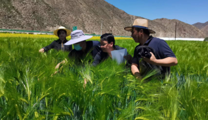 提升創(chuàng)新能力 推動成果轉(zhuǎn)化--州農(nóng)技站2022年度&ldquo;三區(qū)&rdquo;科技服務(wù)工作紀(jì)實