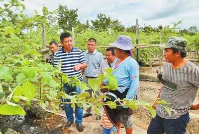 農民豐收節楊凌分會場這些做法成效獲點贊