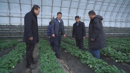 應(yīng)對(duì)雨雪冰凍天氣:專家入戶協(xié)助做好農(nóng)業(yè)防寒指導(dǎo)