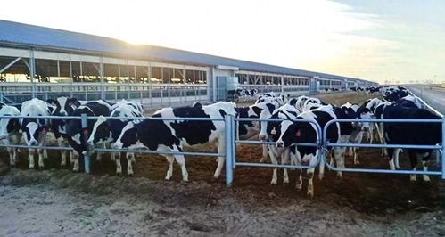 農(nóng)發(fā)行金昌市分行推動(dòng)農(nóng)業(yè)科技加速轉(zhuǎn)化