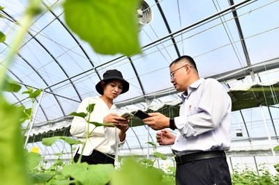 地頭來了鄉(xiāng)村振興服務(wù)隊