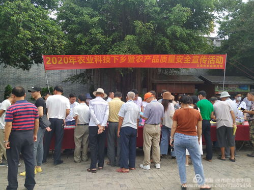 農(nóng)業(yè)科技下鄉(xiāng)暨農(nóng)產(chǎn)品質(zhì)量安全宣傳黨員活動(dòng)