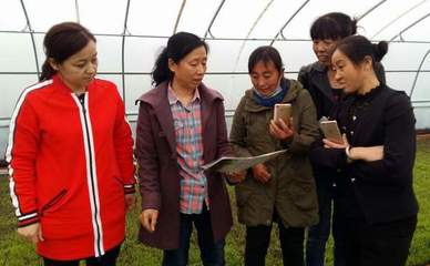 我校農(nóng)業(yè)科技創(chuàng)新服務(wù)團(tuán)隊(duì)深入基層服務(wù)百姓