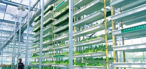 蕭山供銷聯(lián)社農(nóng)資公司:推廣為農(nóng)服務(wù)新模式,打造現(xiàn)代農(nóng)業(yè)新亮點(diǎn)