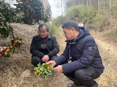 永?？h:迎春雨備春耕促春管