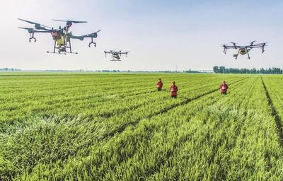 泗洪:科技賦能 智慧田管