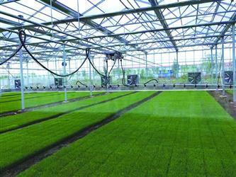 從幾戶農(nóng)民幾臺(tái)農(nóng)機(jī)合伙替他人翻地播種,到建育苗基地為水稻種植戶提供秧苗,再到自己租地種地-- 承接土地流轉(zhuǎn) 農(nóng)機(jī)合作社做大了__中國(guó)青年網(wǎng)