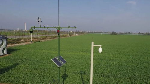 縣科技局 強化農(nóng)業(yè)科技服務(wù) 為鄉(xiāng)村振興添翼加速