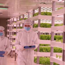 AI人工智能進軍農(nóng)業(yè) 中科三安驚艷9.8投洽會