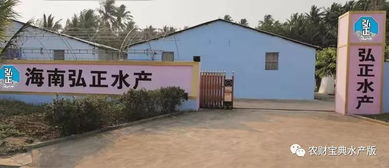 北方一代苗需求激增 行業亂象中的農業科技服務新機遇